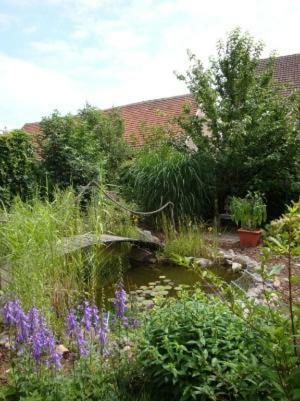 Urlaubsscheune Niedergorsdorf ภายนอก รูปภาพ