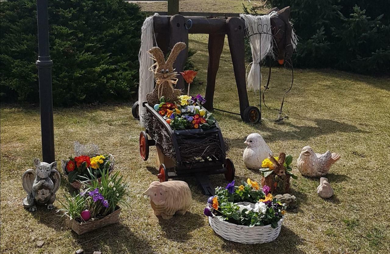 Urlaubsscheune Niedergorsdorf ภายนอก รูปภาพ